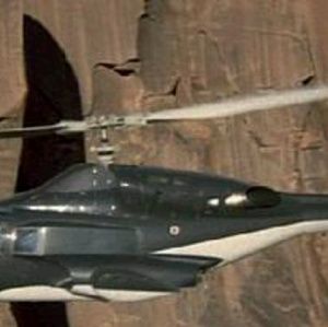 Meet your Posher, Rodney